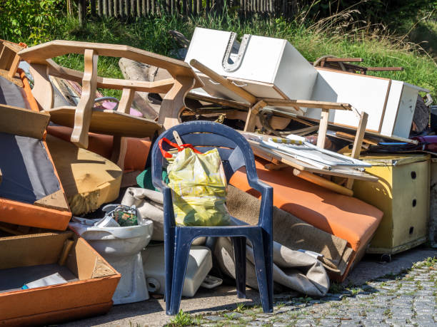 Best Yard Cleanup Services  in Holloman Af, NM