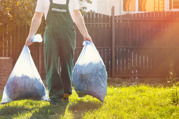 Best Junk Hauling Services  in Holloman Af, NM